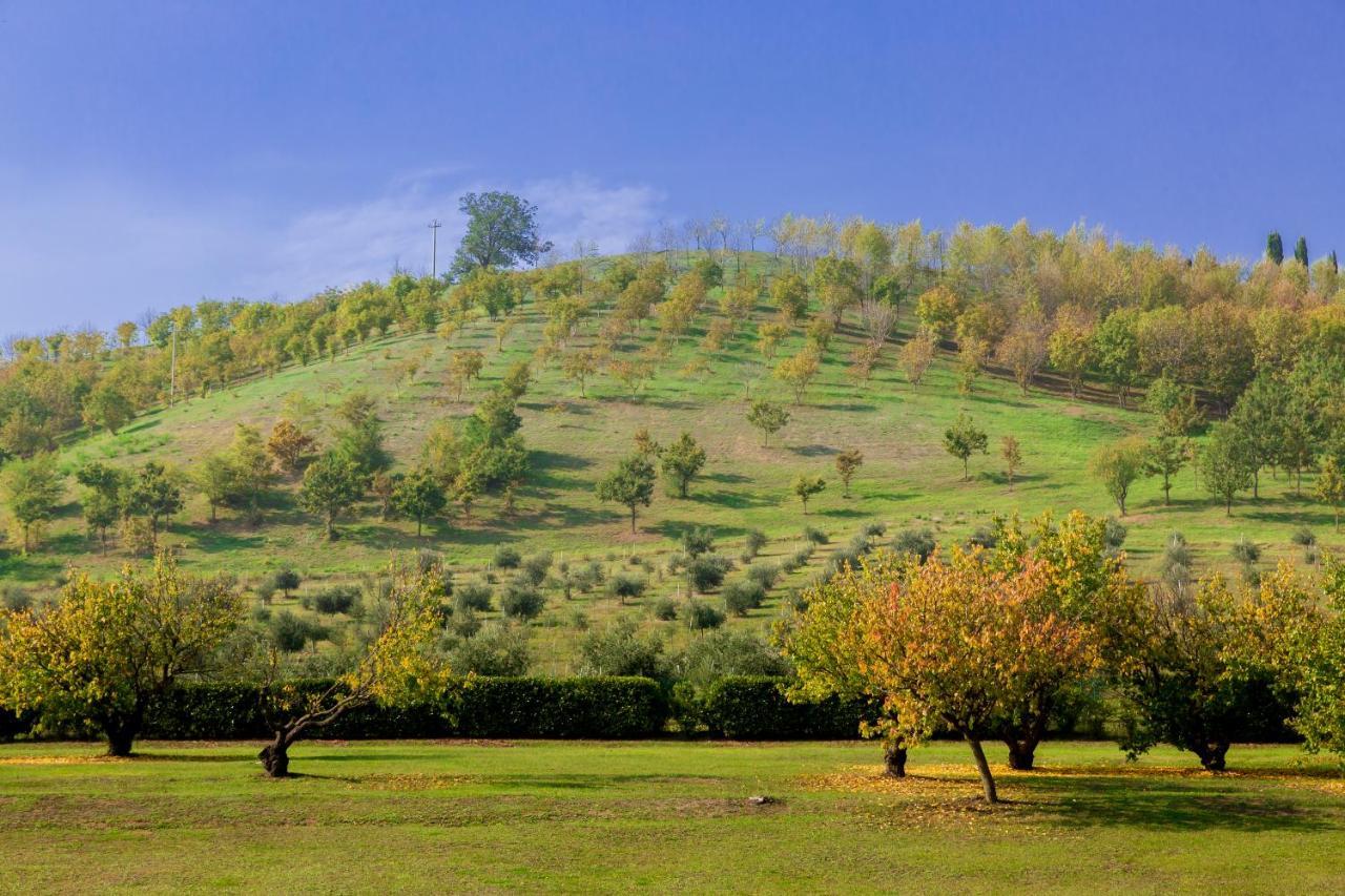 กา มัลวาเซีย Bed & Breakfast Montecchio  ภายนอก รูปภาพ